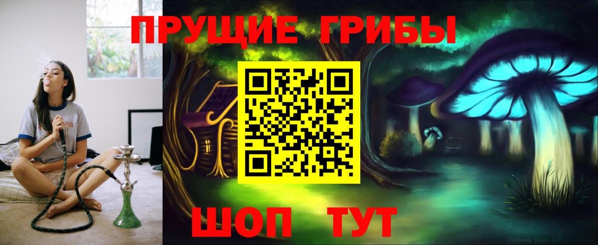 Галлюциногенные грибы мицелий  Псилоцибиновые грибы Cubensis  Вход с VPN  Будённовск 